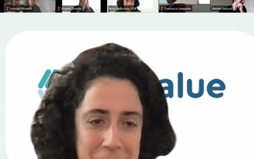 WORKING MEETINGS WITH PILOT PROJECTS